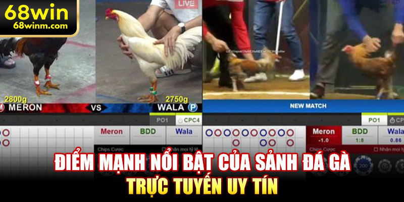 Điểm mạnh nổi bật của sảnh đá gà trực tuyến uy tín