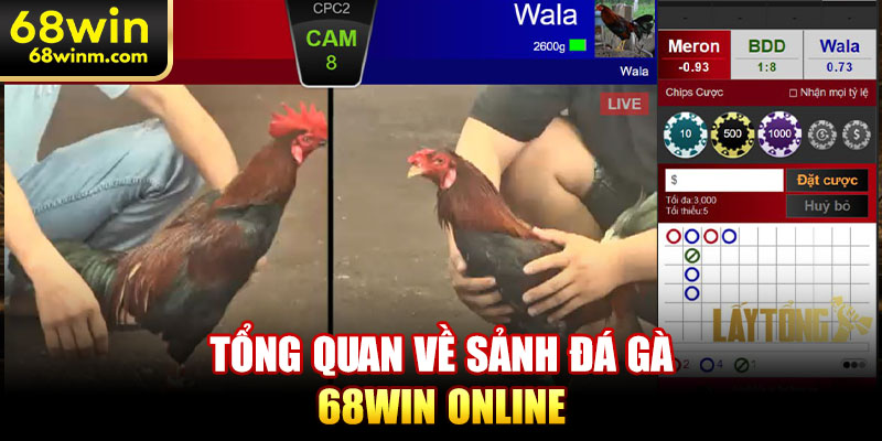 Tổng quan về sảnh đá gà 68WIN online